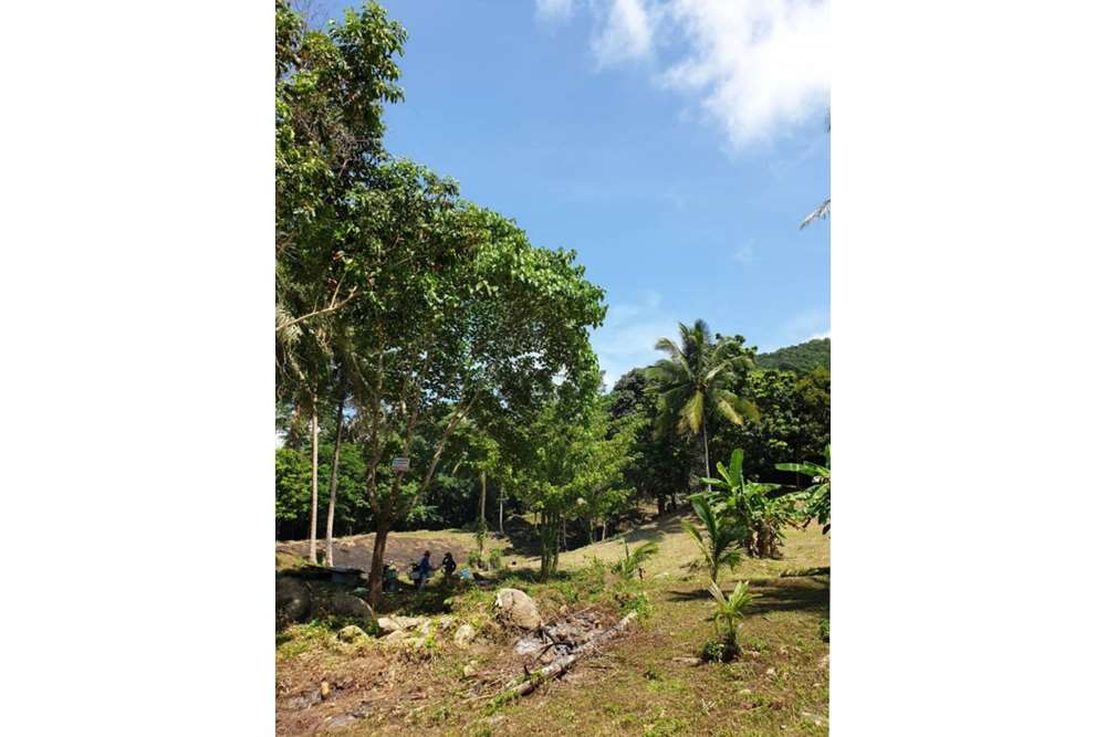 รูป [920121001-1876] Big Plot of Mountain View Land in Mae Nam, Koh Samui - รูปที่ 4/6