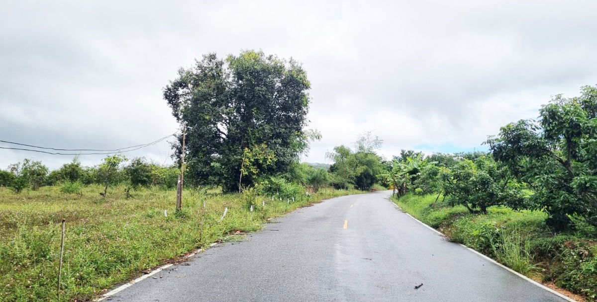 picture Land for Sale in Li, Lamphun – 23-3-09 Rai – Mountain Views, Natural Ambiance – Great Price! - 2/5