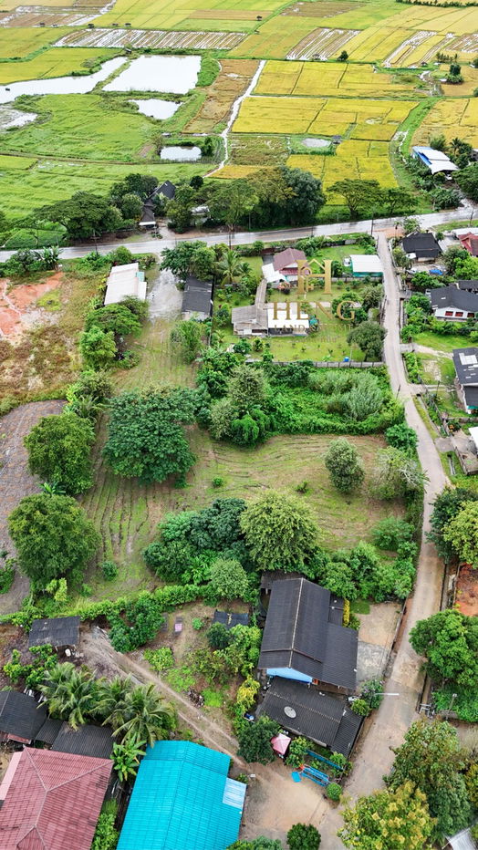 รูป ที่ดิน 2-3-68 ไร่ อ.แม่สรวย จ.เชียงราย ติดถนนหลวง เติบโตต่อเนื่อง - รูปที่ 7/10