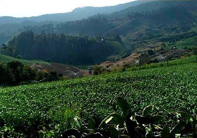 ที่ดิน ปาย แม่ฮ่องสอน : ขายที่ดินโฉนด 3 ไร่ บรรยากาศดี วิวที่สวยงามที่สุดของ อ.ปาย ใกล้แหล่งท่องเที่ยว รีสอร์ต ชุมชน 9 นาทีจากภูริปายรีสอร์ต   ห่างจากวัดม่วงสร้อยเพียง 100 ม.