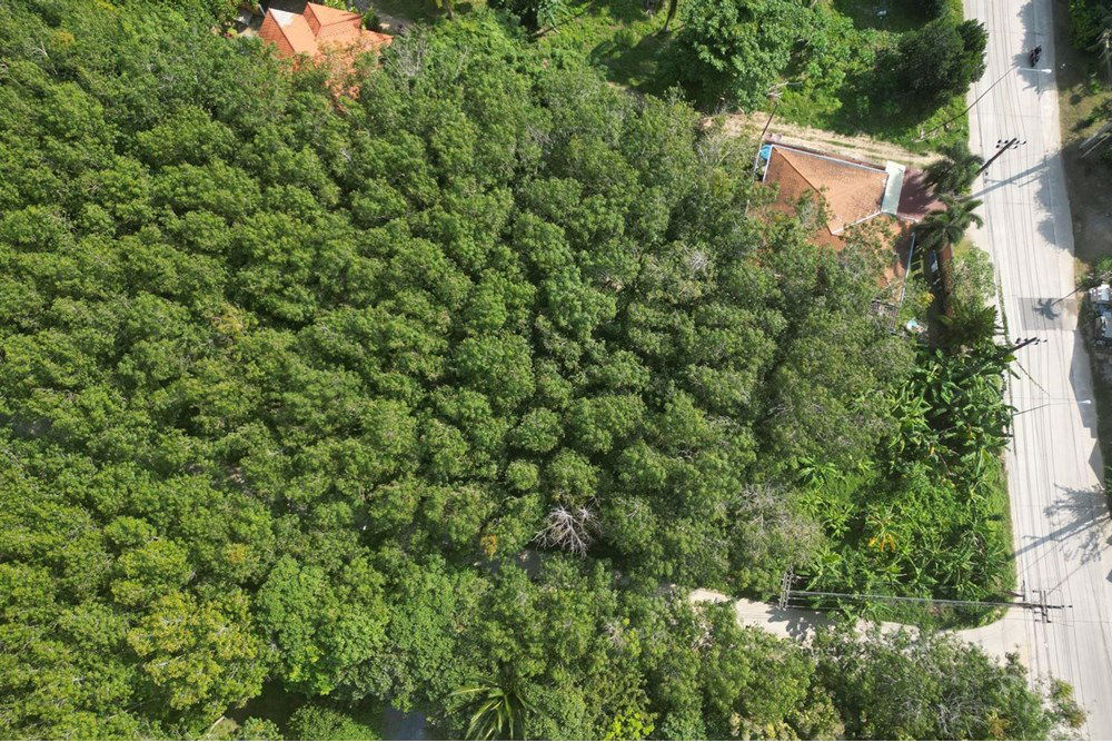รูป [920121068-47] Land for lease near Greenacre International School in Na Mueang - รูปที่ 12/13
