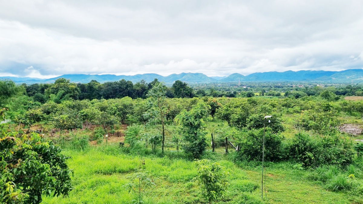 picture Land for Sale in Li, Lamphun – 23-3-09 Rai – Mountain Views, Natural Ambiance – Great Price! - 3/5
