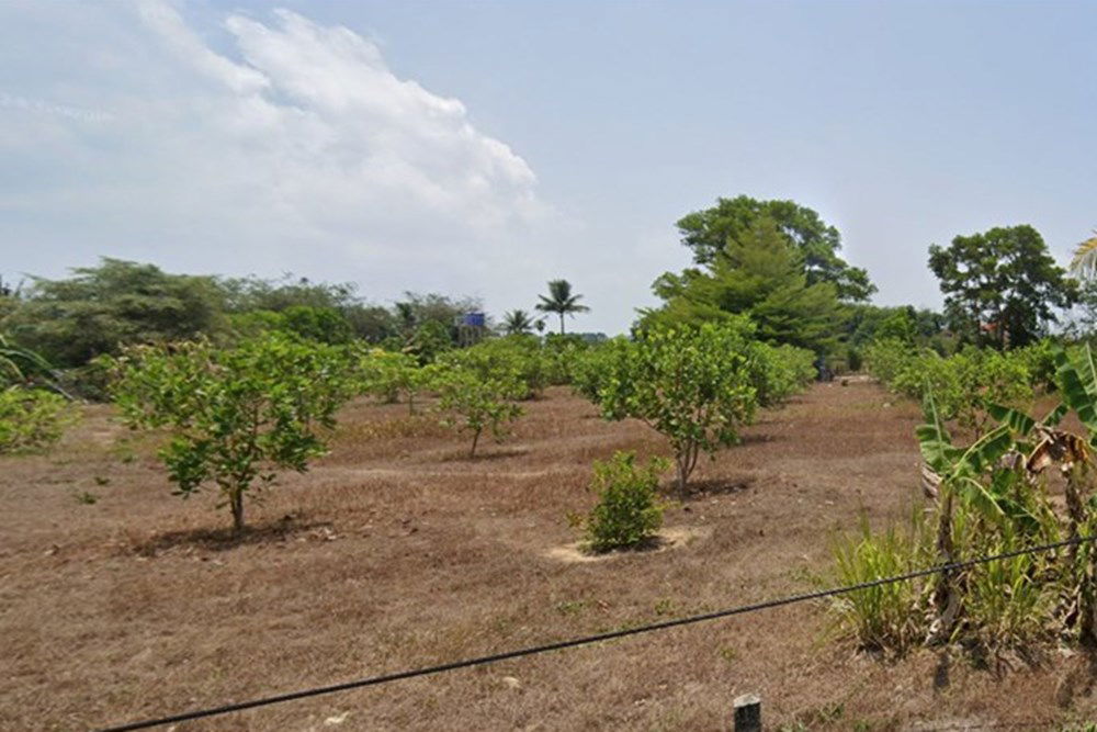 picture [920491002-17] 6 rai development ready land in central Paklok (10,000,000 per/rai) - 4/10