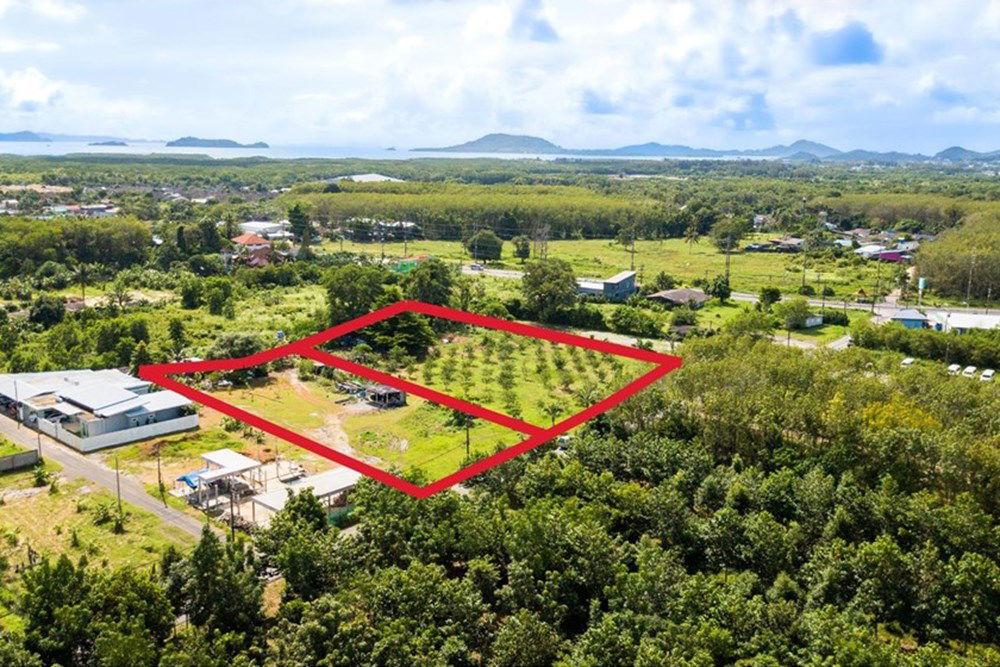 picture [920491002-17] 6 rai development ready land in central Paklok (10,000,000 per/rai) - 2/10