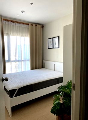 Condos for sale Bangkok : FOR SALE THE TREE SUKHUMVIT 71