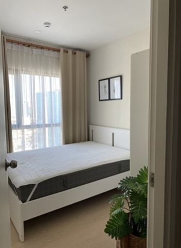 💥ขายด่วน THE TREE SUKHUMVIT 71-EKAMAI (เดอะ ทรี สุขุมวิท 71 - เอกมัย) ราคาพิเศษ 2.4ล้านรวม💥โอน