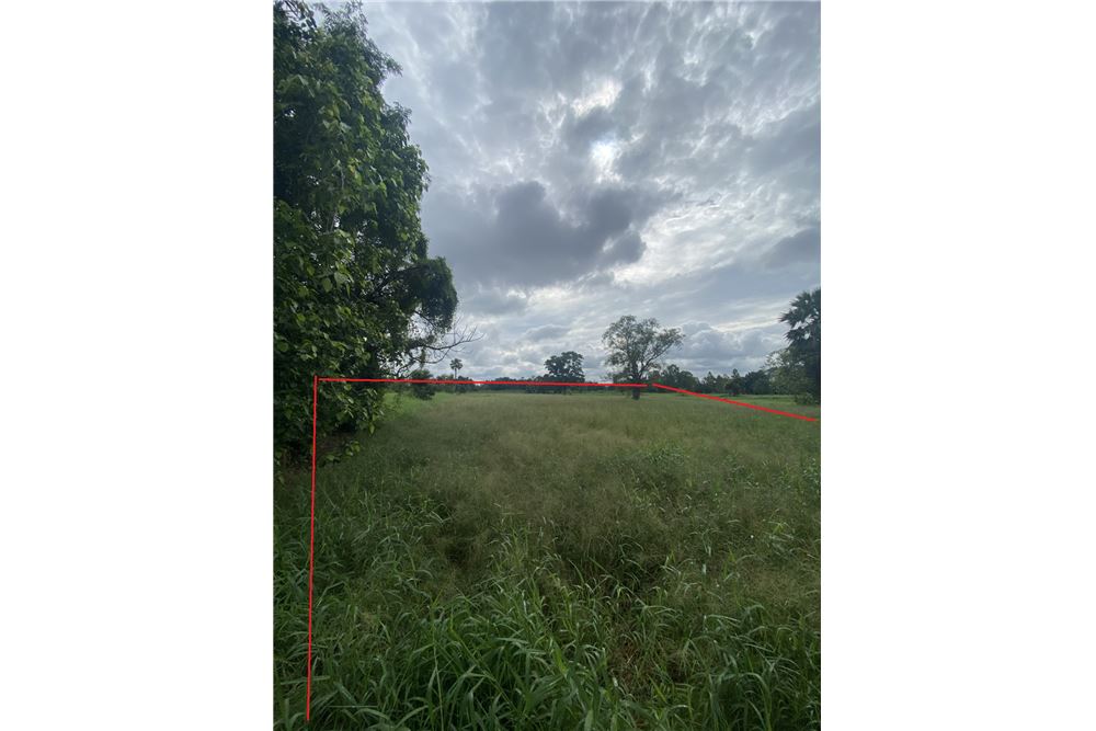 รูป [920461002-259] ขายที่ดิน อ.พิมาย จ.โคราช P-NE-NS001 - รูปที่ 2/9