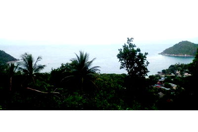 ที่ดิน เกาะพะงัน สุราษฎร์ธานี : [920621004-66] ขายที่ดินวิวทะเล-ภูเขา บนเกาะพะงัน