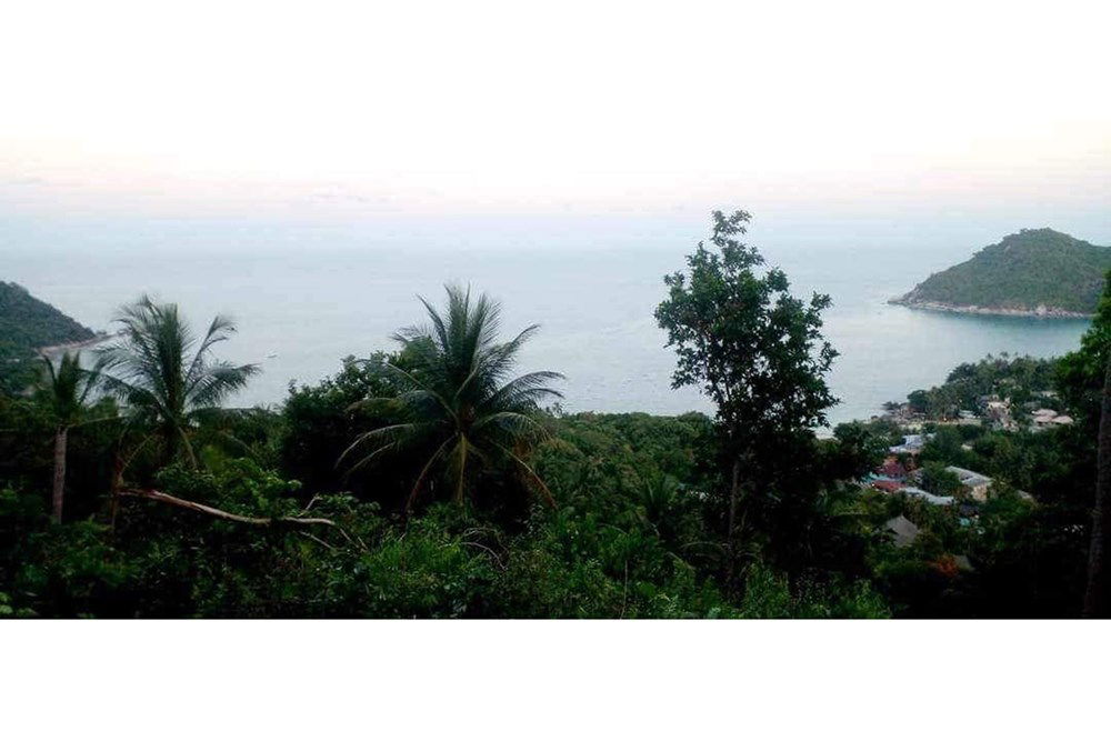 รูป [920621004-66] ขายที่ดินวิวทะเล-ภูเขา บนเกาะพะงัน - รูปที่ 1/4
