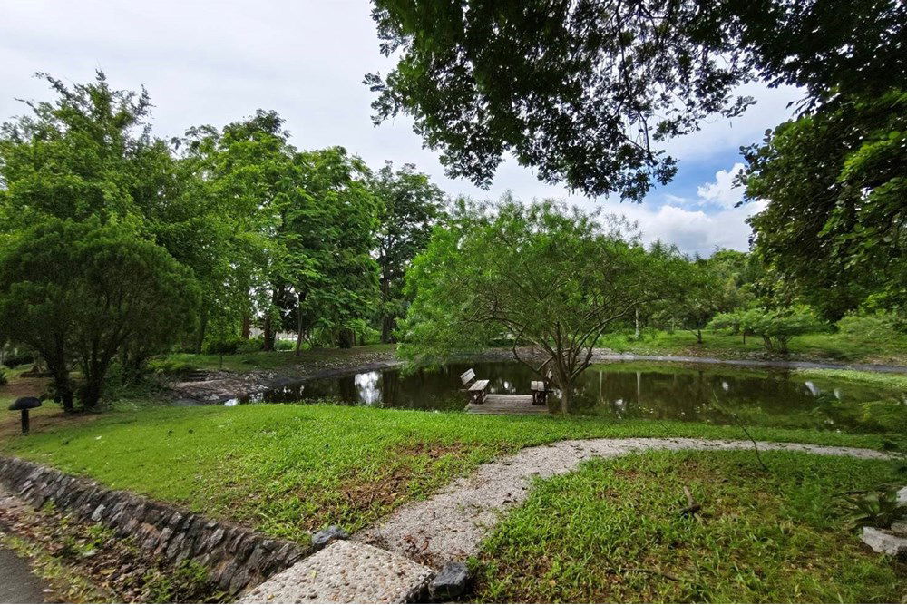 picture [920611001-346] Idyllic Bang Sare Land: Build Your Dream Home! - 6/22