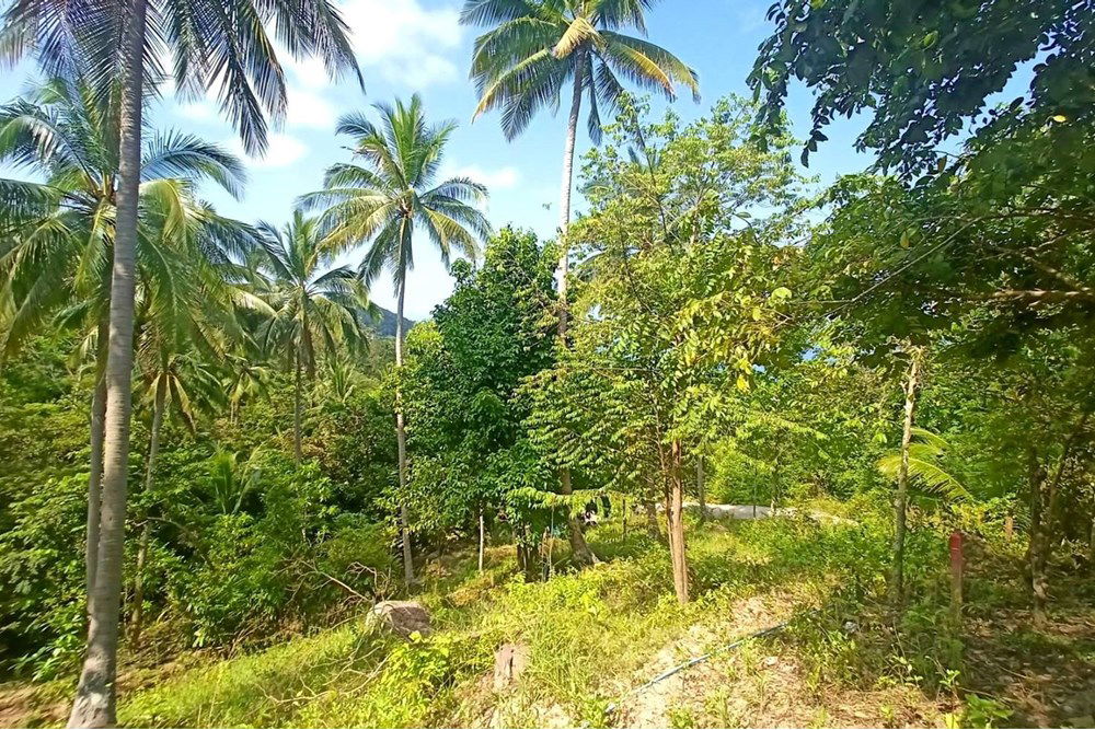 รูป [920121075-2] Seaview Pool Villa in Koh Tao, 5 mins to Sairee Beach! - รูปที่ 21/24