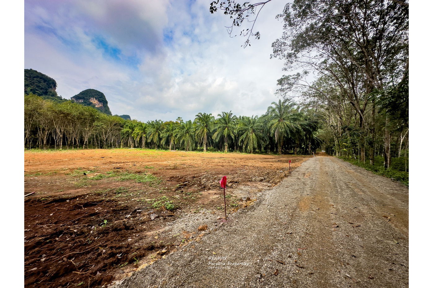 รูป [920281015-697] Mountain View Land for Sale - รูปที่ 9/13