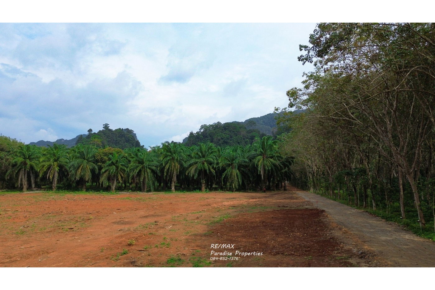 รูป [920281015-697] Mountain View Land for Sale - รูปที่ 13/13
