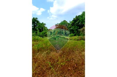 ที่ดิน เกาะพะงัน สุราษฎร์ธานี : [920621004-122] ขายที่ดินพร้อมใบอนุญาตรีสอร์ท - ใกล้ Seed to Feed เกาะพะงัน