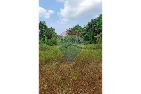 [920621004-122] ขายที่ดินพร้อมใบอนุญาตรีสอร์ท - ใกล้ Seed to Feed เกาะพะงัน