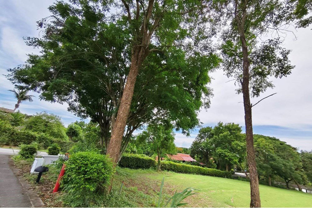 picture [920611001-346] Idyllic Bang Sare Land: Build Your Dream Home! - 10/22