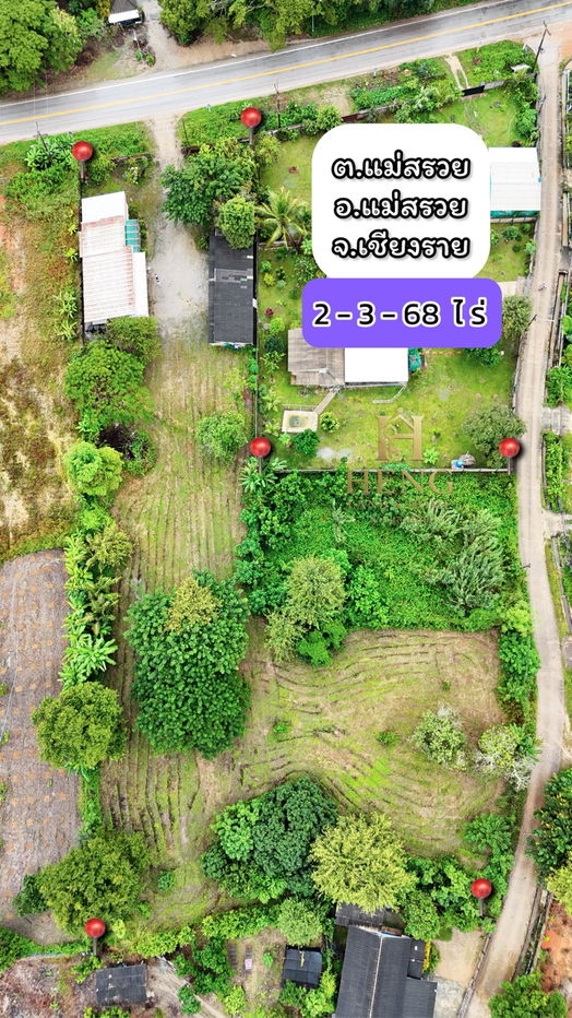 รูป ที่ดิน 2-3-68 ไร่ อ.แม่สรวย จ.เชียงราย ติดถนนหลวง เติบโตต่อเนื่อง - รูปที่ 6/10