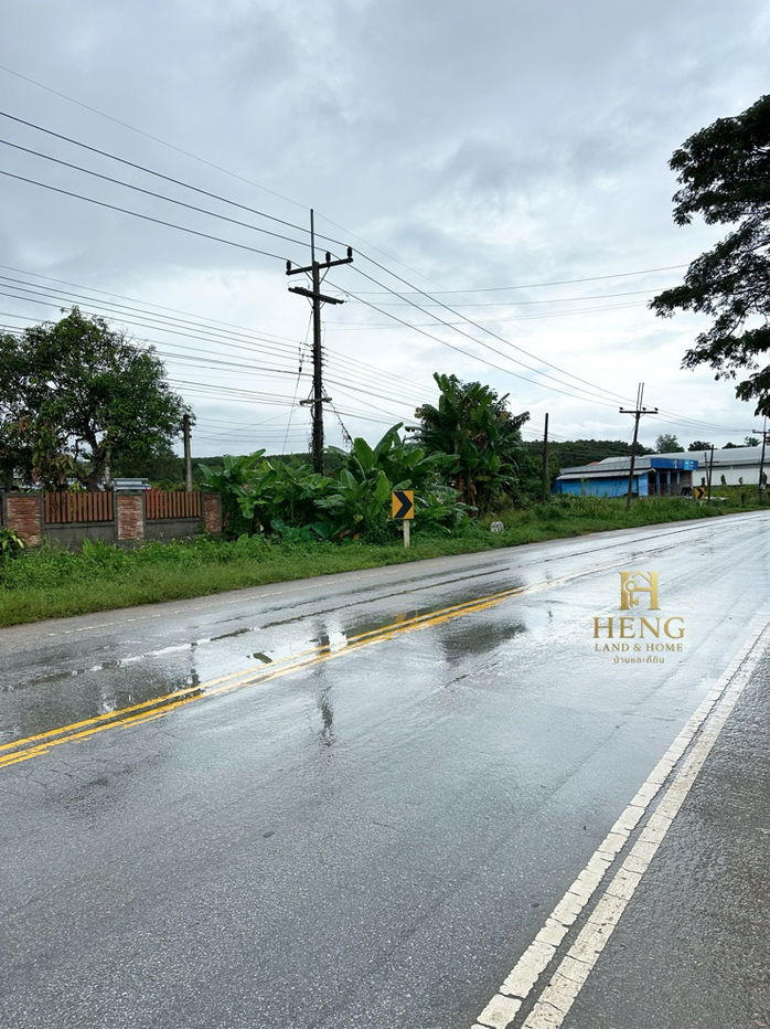 รูป ที่ดิน 2-3-68 ไร่ อ.แม่สรวย จ.เชียงราย ติดถนนหลวง เติบโตต่อเนื่อง - รูปที่ 10/10