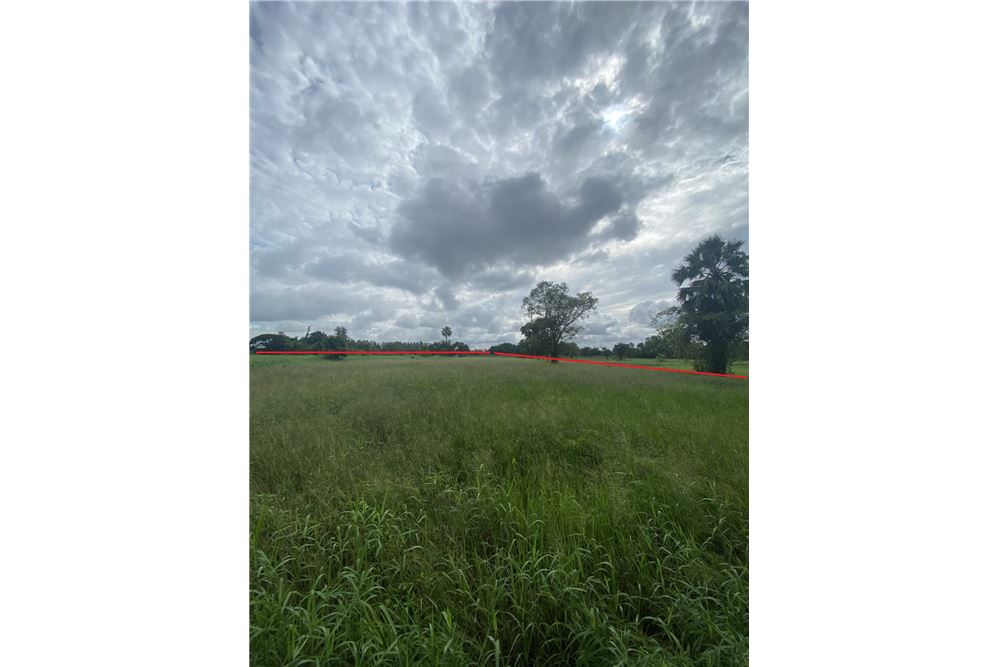 รูป [920461002-259] ขายที่ดิน อ.พิมาย จ.โคราช P-NE-NS001 - รูปที่ 3/9