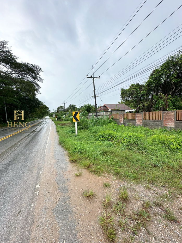 รูป ที่ดิน 2-3-68 ไร่ อ.แม่สรวย จ.เชียงราย ติดถนนหลวง เติบโตต่อเนื่อง - รูปที่ 9/10