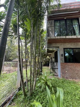 picture Land for sale, 5 rai with 3 houses, owner selling, Kalasin - 22/29