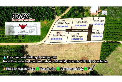 ที่ดิน เมืองกระบี่ กระบี่ : [920281023-2] For Rent: The Connect Condo