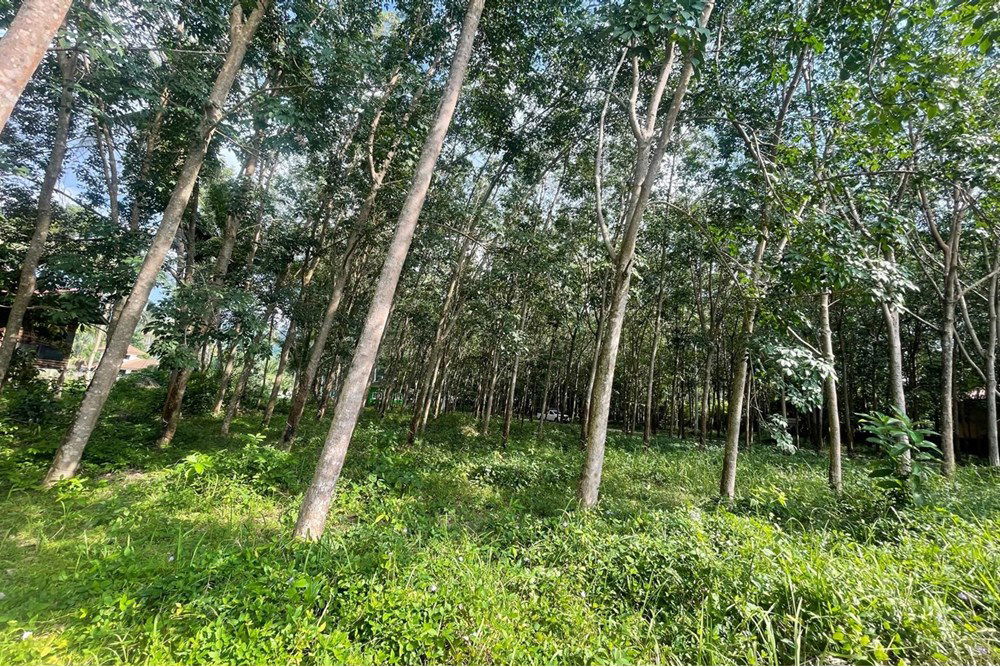 รูป [920121068-47] Land for lease near Greenacre International School in Na Mueang - รูปที่ 10/13