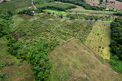 ที่ดิน ลี้ ลำพูน : ขายที่ดินลี้ ลำพูน 23-3-09 ไร่ วิวภูเขา บรรยากาศธรรมชาติ ราคาดี