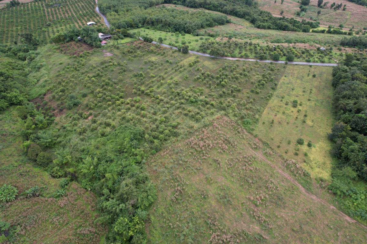 picture Land for Sale in Li, Lamphun – 23-3-09 Rai – Mountain Views, Natural Ambiance – Great Price! - 1/5