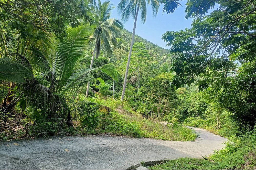 รูป [920121075-2] Seaview Pool Villa in Koh Tao, 5 mins to Sairee Beach! - รูปที่ 23/24