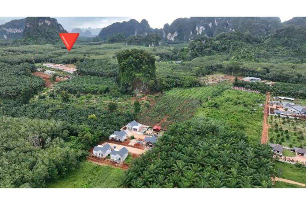 รูป [920281015-697] Mountain View Land for Sale - รูปที่ 6/13
