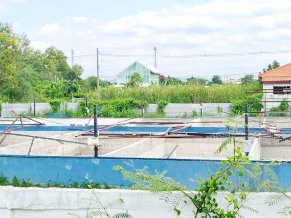 รูป พร้อมออฟฟิศ 3 ไร่ รังสิตคลอง 3 7นอน ร้านพี่ญาคนรุม 3 กม.ตลาดชุมพล 1.2 กม. ให้เช่าบ้าน 7น้ำ ทำเลดี สวนน้ำเปรม วอร์เตอร์ปาร์ค 1.6 กม. - รูปที่ 6/8