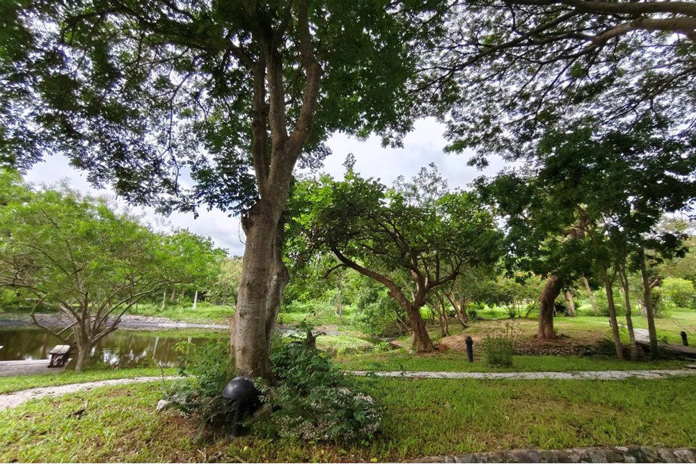 picture [920611001-346] Idyllic Bang Sare Land: Build Your Dream Home! - 5/22