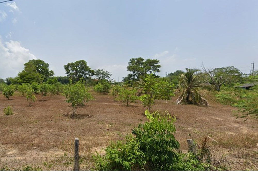 picture [920491002-17] 6 rai development ready land in central Paklok (10,000,000 per/rai) - 5/10