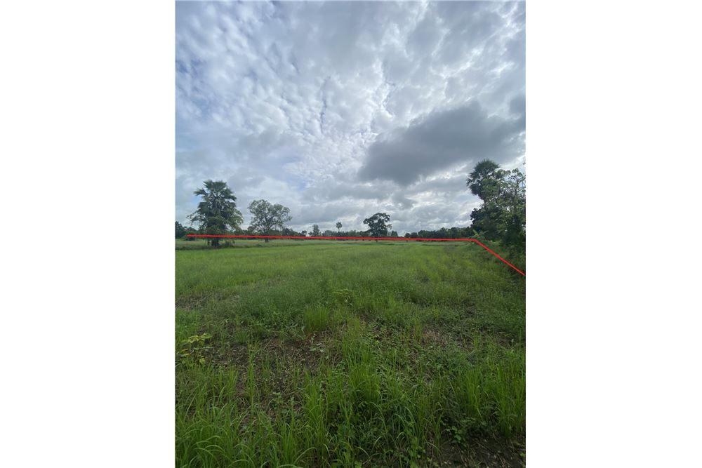 รูป [920461002-259] ขายที่ดิน อ.พิมาย จ.โคราช P-NE-NS001 - รูปที่ 6/9