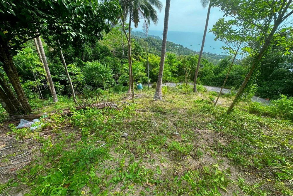 รูป [920121075-2] Seaview Pool Villa in Koh Tao, 5 mins to Sairee Beach! - รูปที่ 19/24