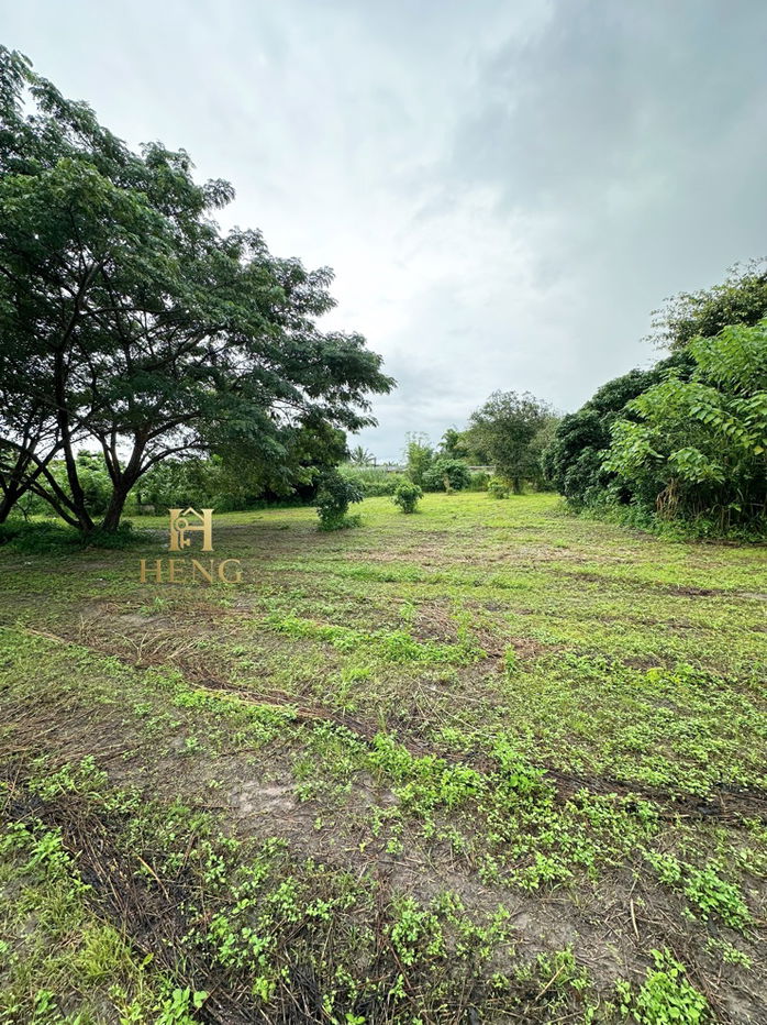 รูป ที่ดิน 2-3-68 ไร่ อ.แม่สรวย จ.เชียงราย ติดถนนหลวง เติบโตต่อเนื่อง - รูปที่ 5/10