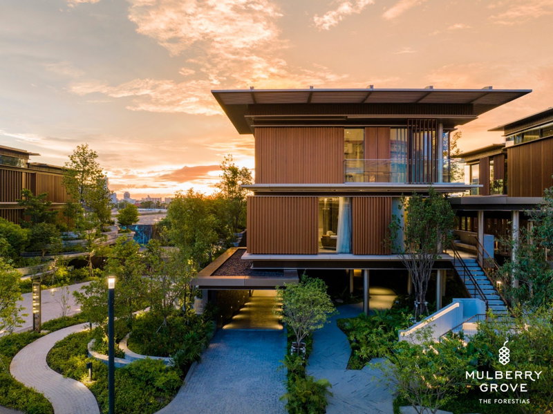 ขายบ้านเดี่ยว : ขายบ้านเดี่ยวสุดหรูในโครงการ Mulberry Grove The Forestias Villas 5 ห้องนอน 7 ห้องน้ำ 253.2 ตารางวา @350MB