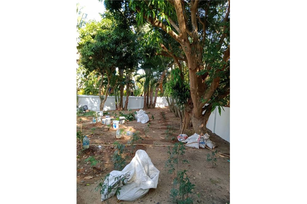 รูป [920081001-1013] Phuket Land in Rawai, Soi Namjai , 64 SQ.W - รูปที่ 5/8