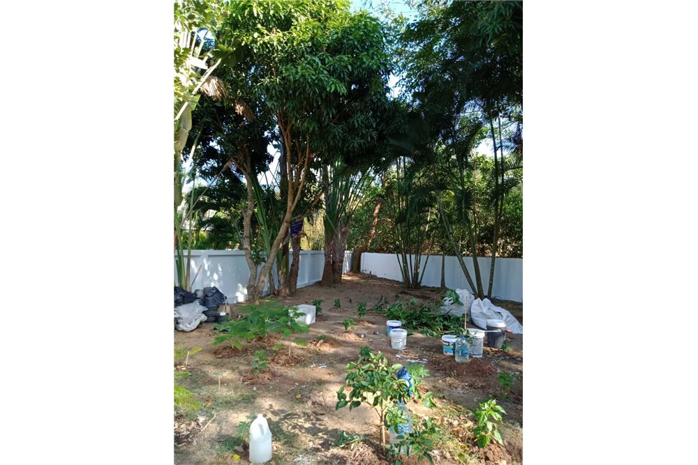 รูป [920081001-1013] Phuket Land in Rawai, Soi Namjai , 64 SQ.W - รูปที่ 3/8