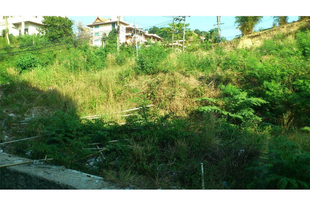 รูป [920081001-1166] "ที่ดินเปล่าทำเลทอง กลางเมืองป่าตอง" - รูปที่ 9/11