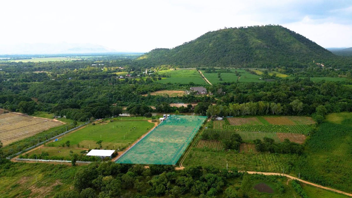 picture 💯📢‼️Sell Waterfront Land ‼️at Kanchanaburi - 5/7