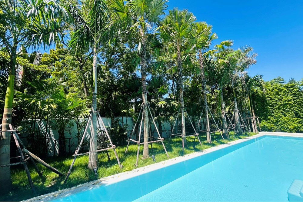 รูป [920071069-20] Beverly Hills Chaengwattana Brand New Villa Luxury Pool Villa For Sale - รูปที่ 15/21