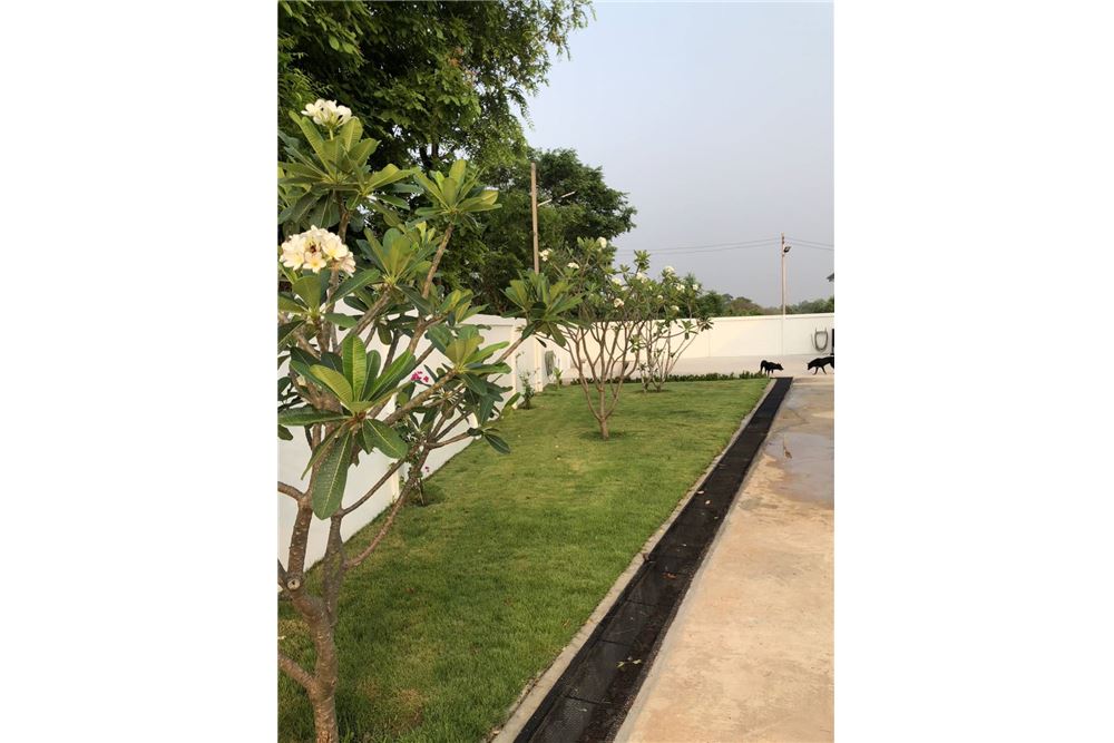 picture [920461002-252] ขายบ้านเดียว 1ชั้น อ.เมือง จ.กาฬสินธุ์ P-NE-KS001 - 5/33