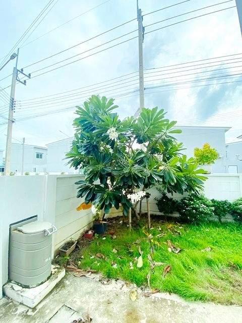 รูป รร.เทคโนโลยีแหลมทอง 1.2 กม. โลตัส วัดไพร่ฟ้า 1กม.ให้เช่า ทาวน์โฮม 2 ชั้น 3 นอน 2 น้ำ รพ.ปทุมธานี 3.6 กม.ถ. กรุงเทพ-ปทุมธานี - รูปที่ 4/8