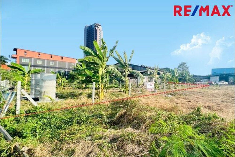 รูป [920091006-309] ขายที่ดิน 205 ตารางวา ซอยศรีด่าน 3/1 แยก 1 ถ.ศรีนครินทร์ แบริ่ง - รูปที่ 6/13