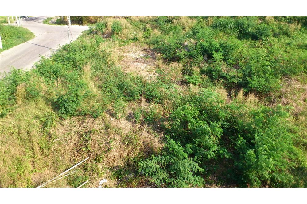 รูป [920081001-1166] "ที่ดินเปล่าทำเลทอง กลางเมืองป่าตอง" - รูปที่ 3/11