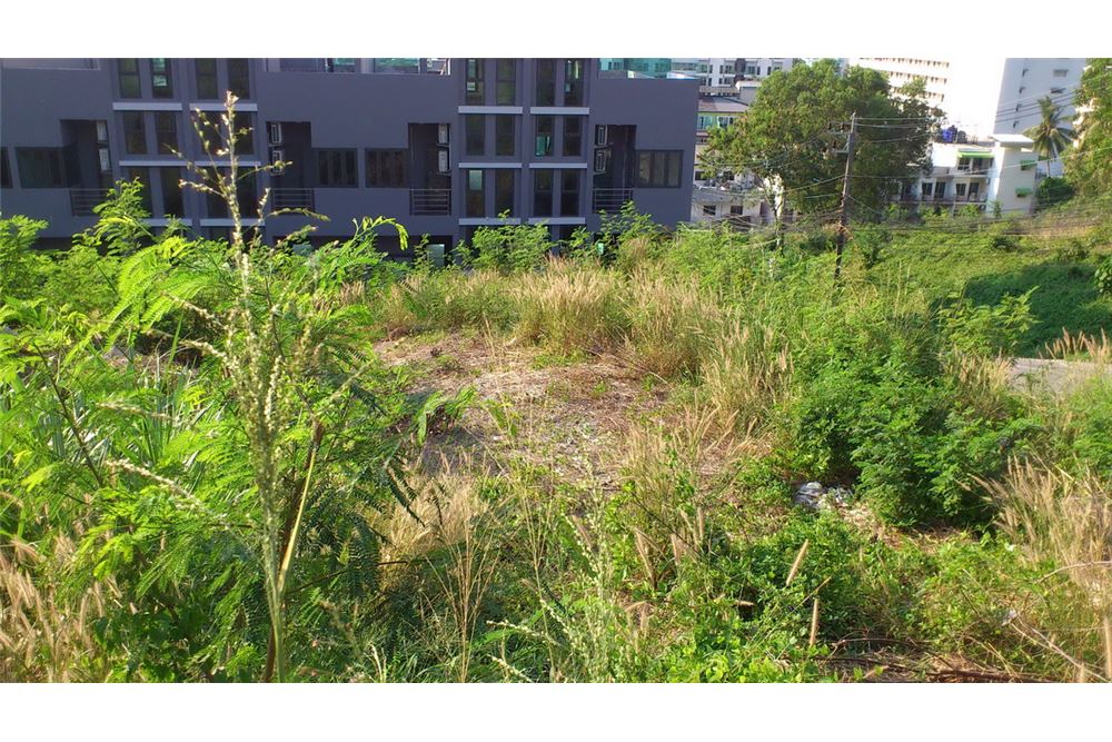 รูป [920081001-1166] "ที่ดินเปล่าทำเลทอง กลางเมืองป่าตอง" - รูปที่ 11/11