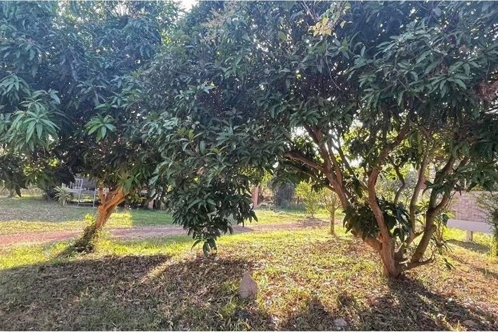 รูป [920461002-412] บ้านพร้อมร้านอาหาร อ.โพนทอง จ.ร้อยเอ็ด - รูปที่ 7/8