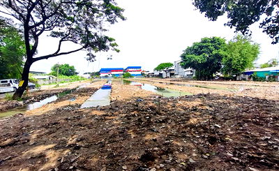 ที่ดิน เขตสะพานสูง : ขายที่ดินกรุงเทพกรีฑา ซอย 33 จำนวน 4 ไร่ 3 งาน 95 ตร.วา